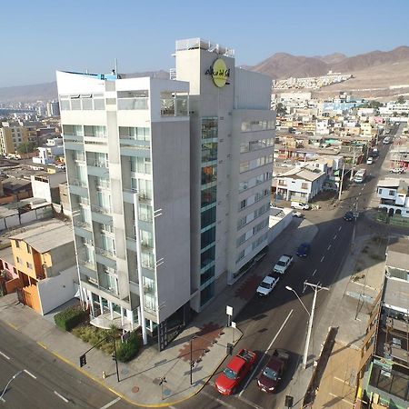 Hotel Alto del Sol Costanera Provincia de Antofagasta Exterior foto